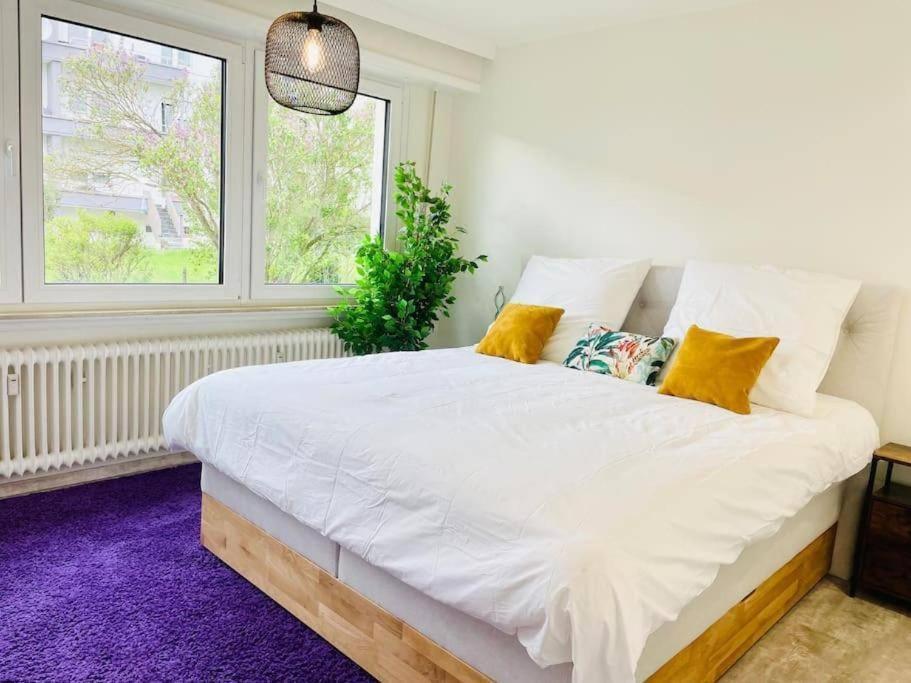 Three Bedrooms In Center With Terrace&parking * Luxemburg